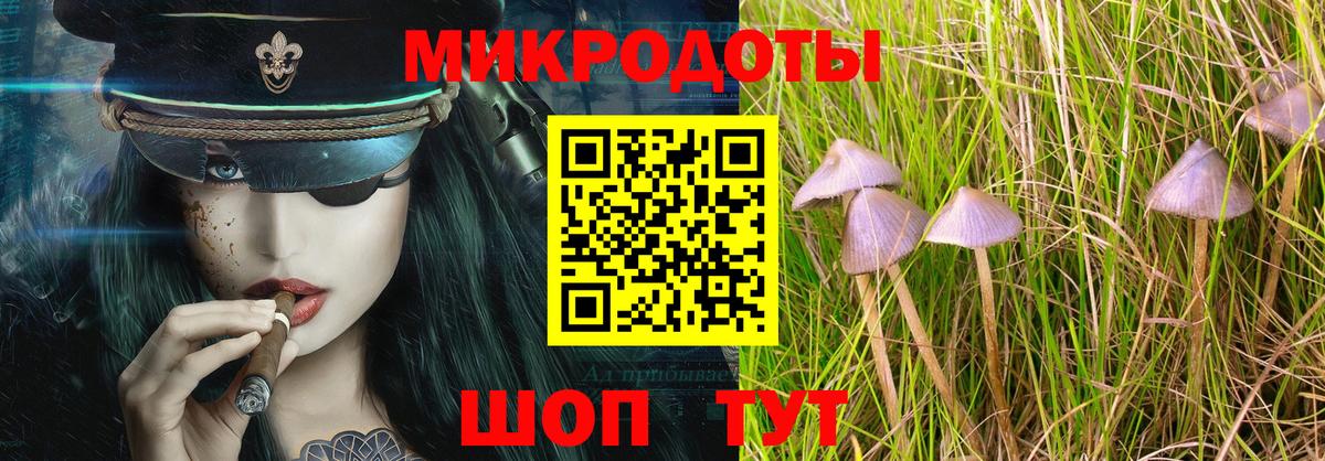 Галлюциногенные грибы мухоморы Озёрск