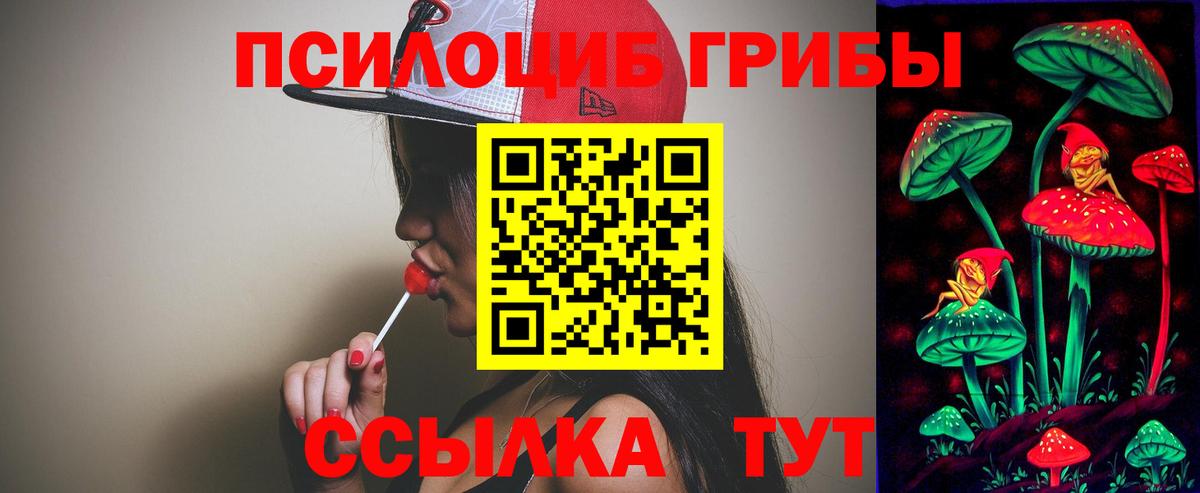 Псилоцибиновые грибы мицелий  Вход с VPN  Озёрск 